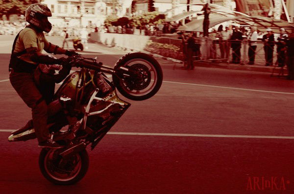 Алина Фисенко