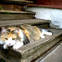 Борис Найко