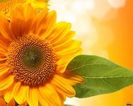 Ооо Виал-Групп Жердевка