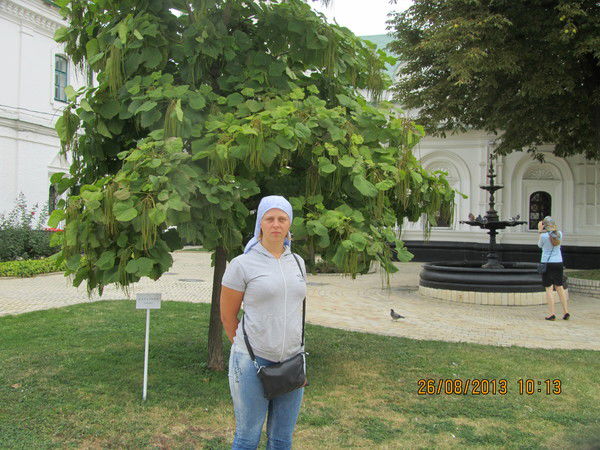 Светлана Данилова