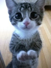 Володимир Хоміць