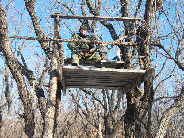 Владимир Пронин