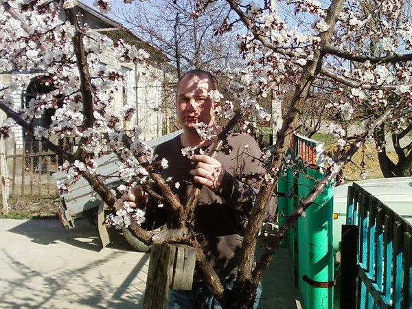 Артем Манойлин