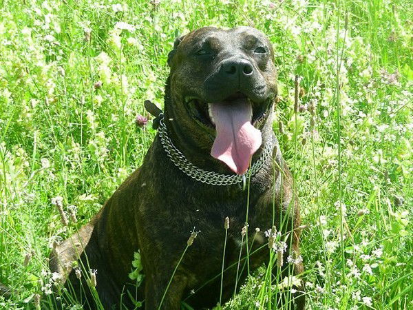 Ольга Чубарова