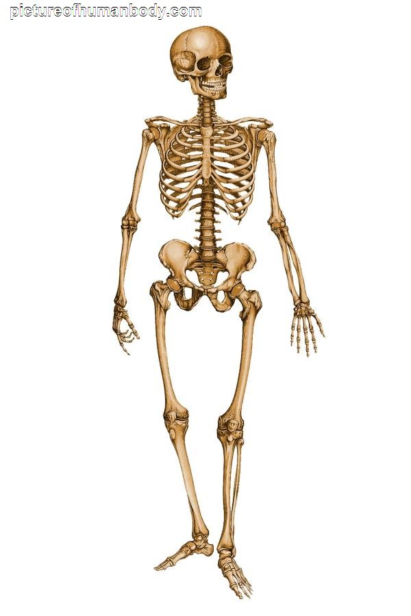 Счастье Есть