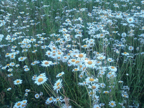 Татьяна Владимировна