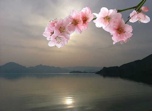 Елена Агафонова