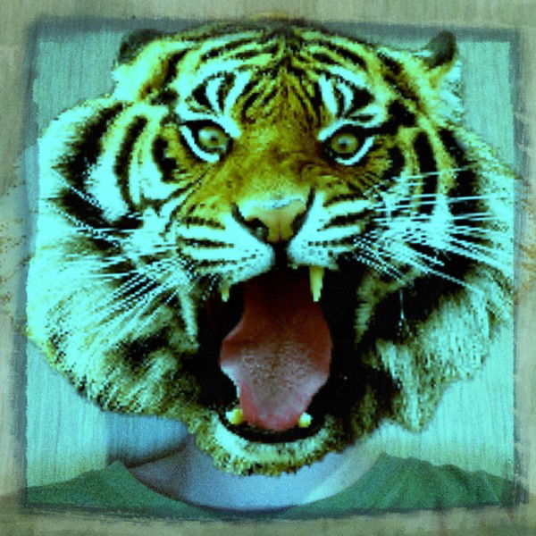 Кирилл Шашков