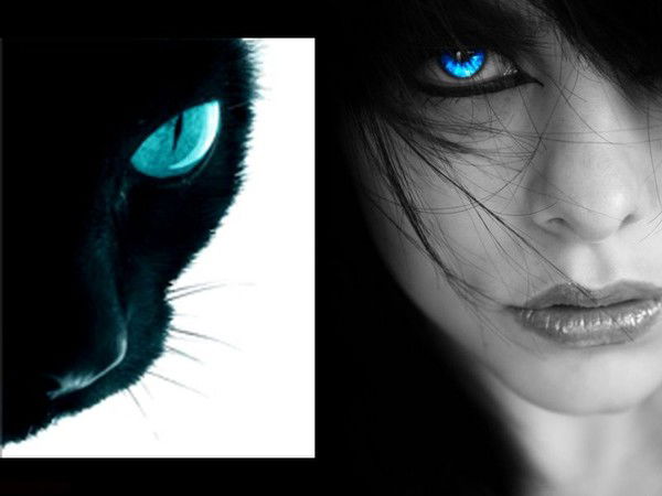 Не Ношу Gucci Adidas Круче