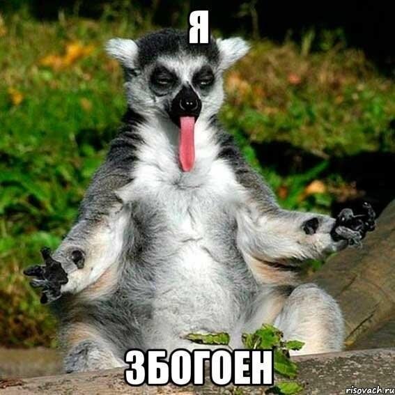 Елена Леконцева