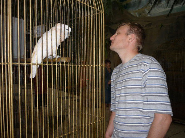 Сергей Волога