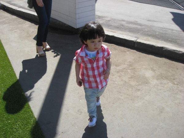 Александр Ивашкин