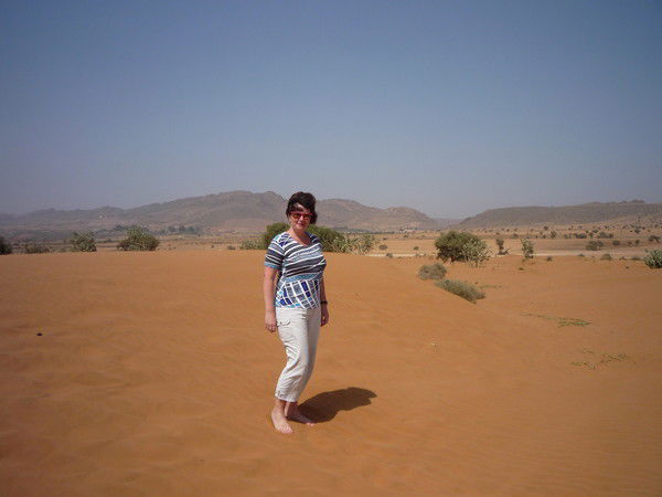 Елена Гайдар