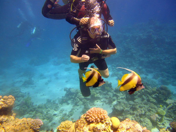 Александр Р