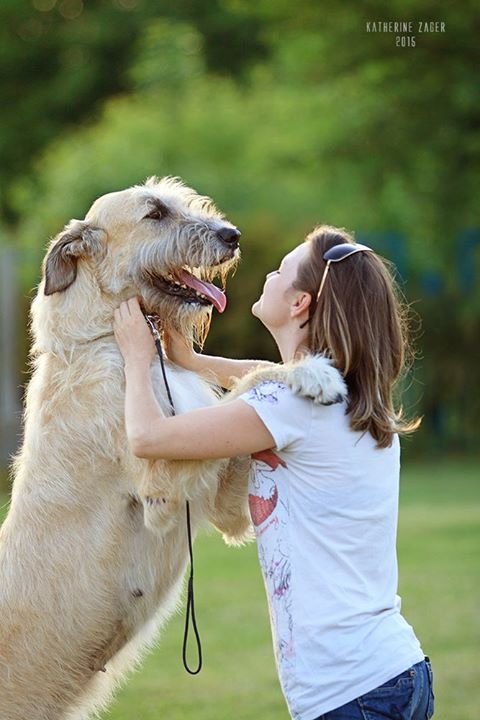 Килессо Богдана