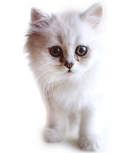 Татьяна Фахрутдинова