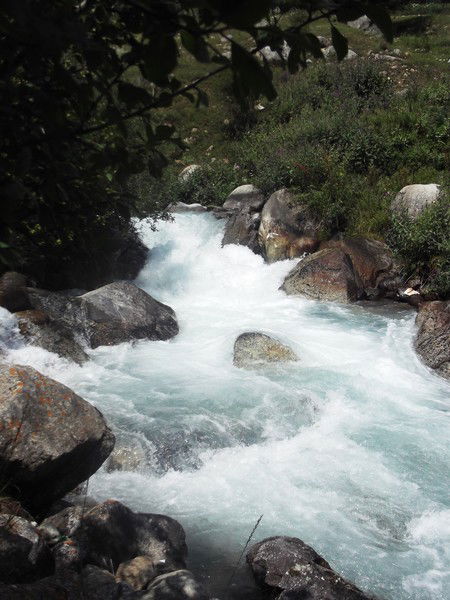 Алексей Зуев