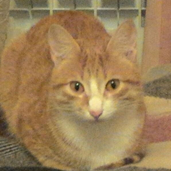 Надежда Владимировна