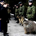 Александр Алекс