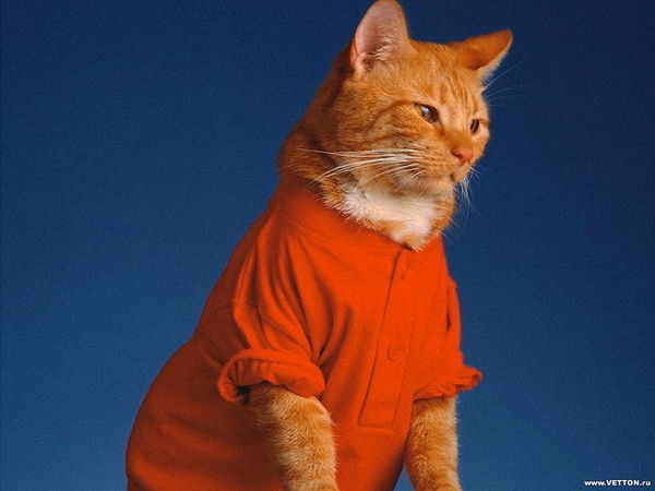 Елена Папузина