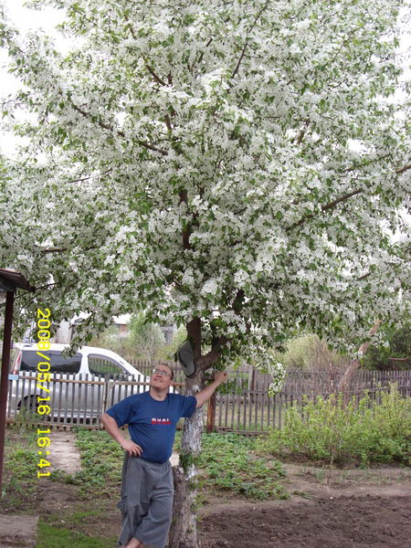Сергей Ипатов