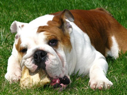 Вадим Медведев