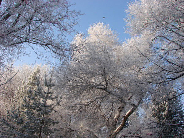 Андрей Кузьменко