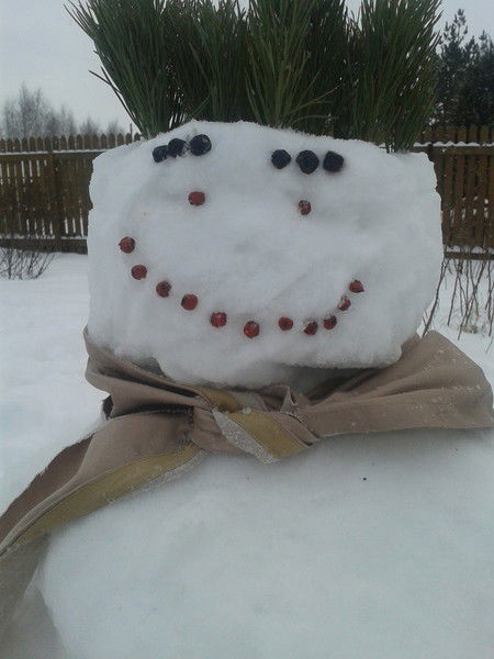 Александр Числов