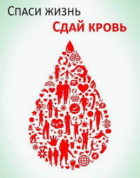 Роман Никитин