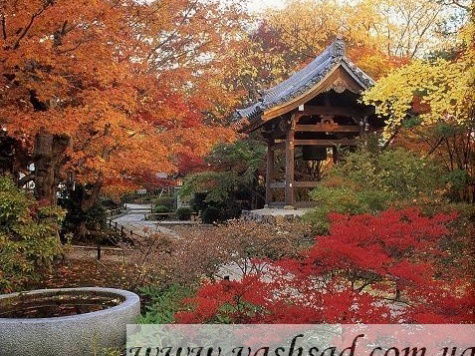 Ольга Косачева