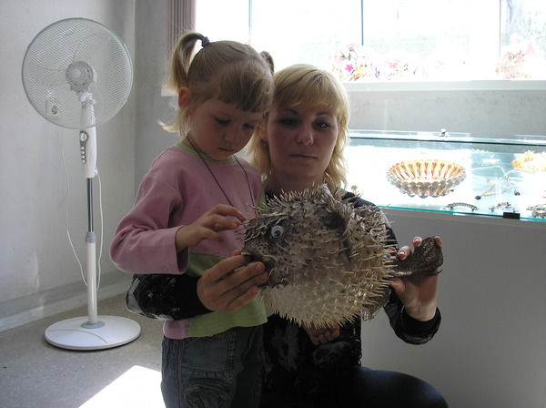 Марина Торцева