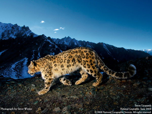 Рустам Дедабаев