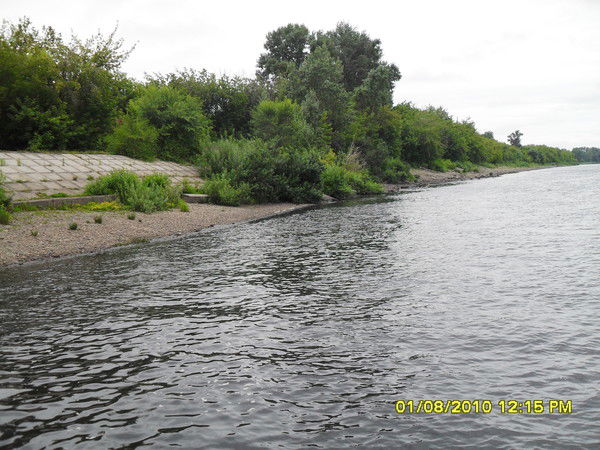 Екатерина Мишина