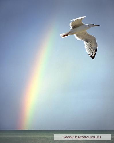 Марина Барыкина