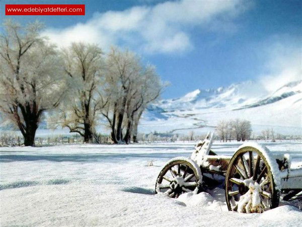 Регина Ханипова