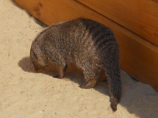 Анастасия Осипова