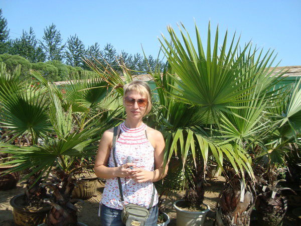 Галина Олейникова