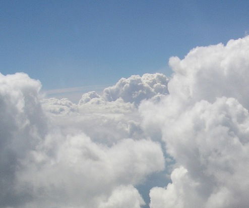 Любовь Журавлева