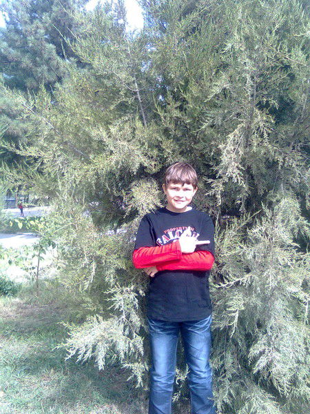 Виктор Меркулов