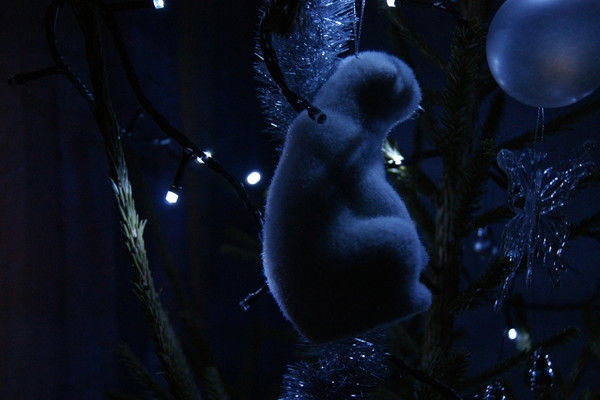 Андрей Прокофьев