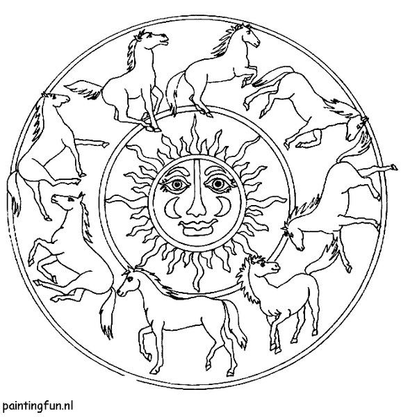 Дмитрий Шветко