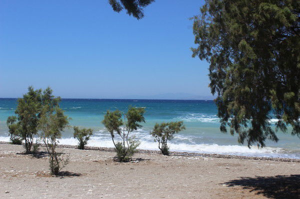 Лана Маркова