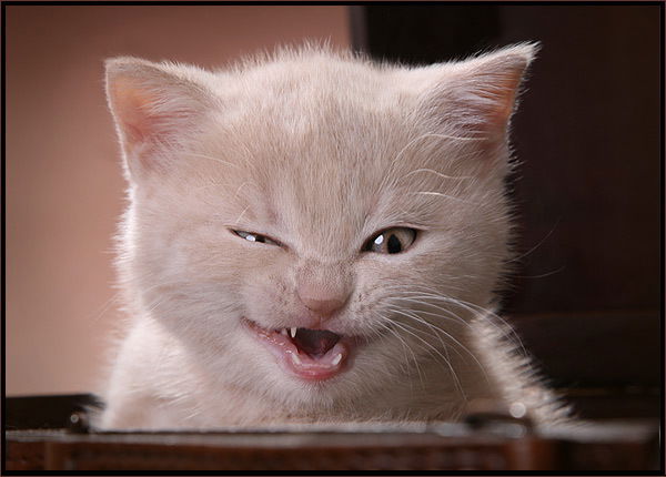 Сергей Малыгин