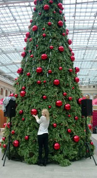 Анастасия Щепилина