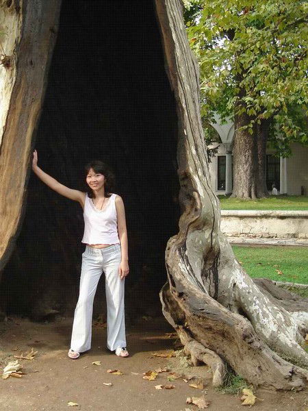 Динара Сулейманова