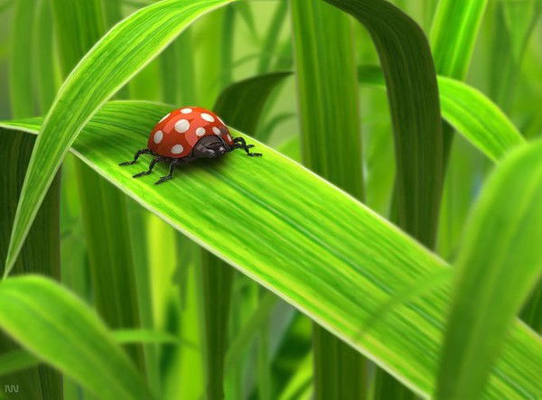 Василий Демидов