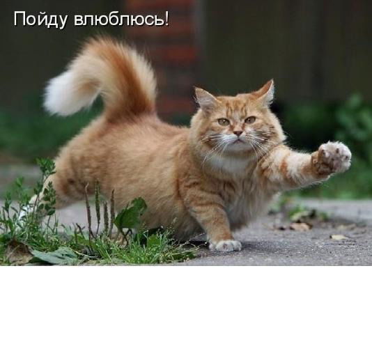 Александр Грушницкий