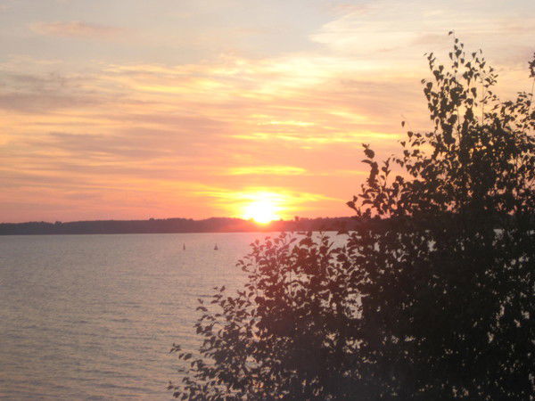 Поручик (Icq 314944113)