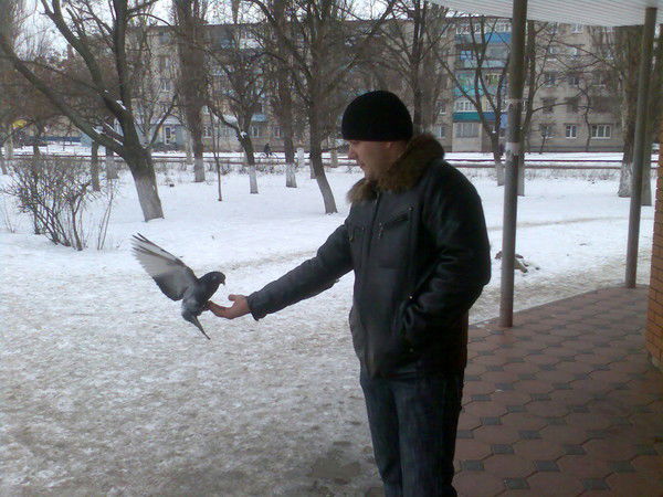 Александр Попельнюк