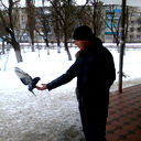 Александр Попельнюк